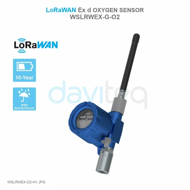 DAVITEQ WSLRWEX-O2 Ex d 산소